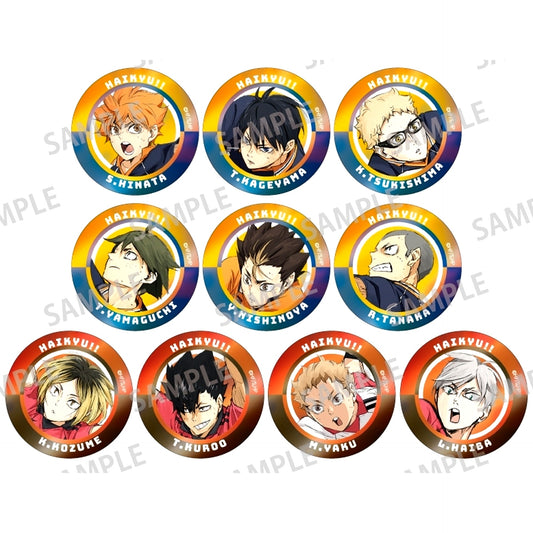 Set of 10 Haikyu!! Trading Metallic Button [USED]
