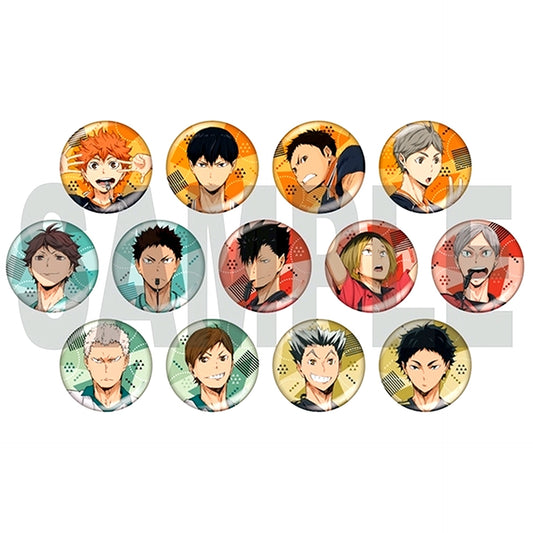 Set of 13 Haikyu!! Glitter Button Collection 3 [USED]