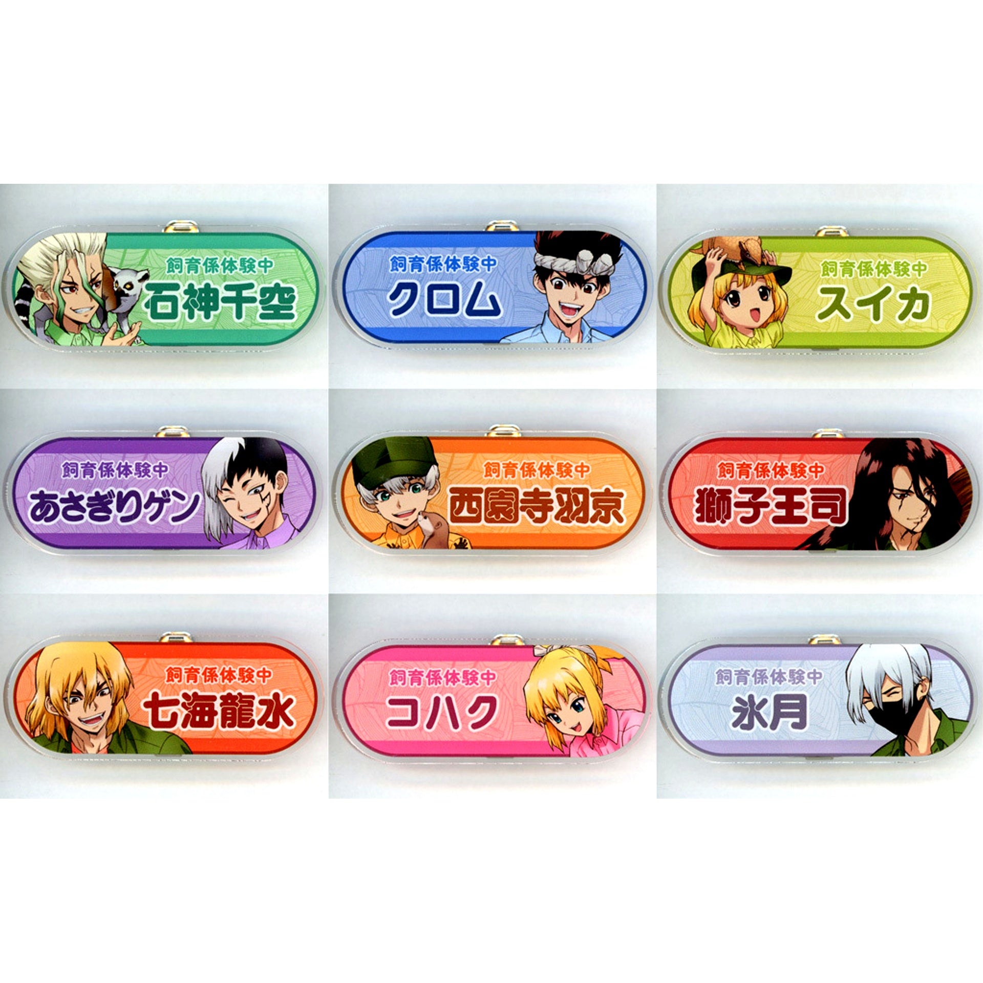 Set of 9 All Characters Dr. STONE Tobu Zoo Drawn Zookeeper Ver. Trading Acrylic Name Plate [USED]