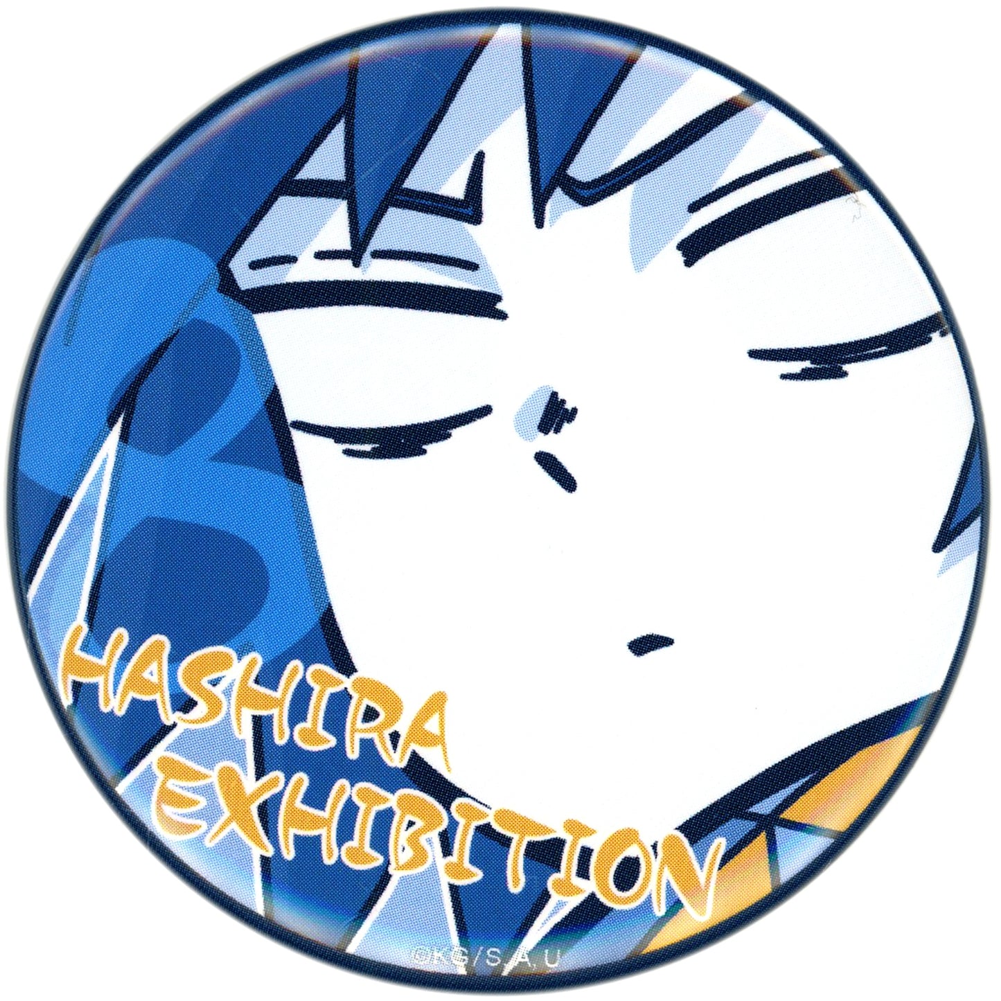 Giyu Tomioka Design 8 Demon Slayer: Kimetsu no Yaiba Hashira Exhibition -And to the Infinity Castle- Hashira 100 Views Emotional Button 40 [USED]