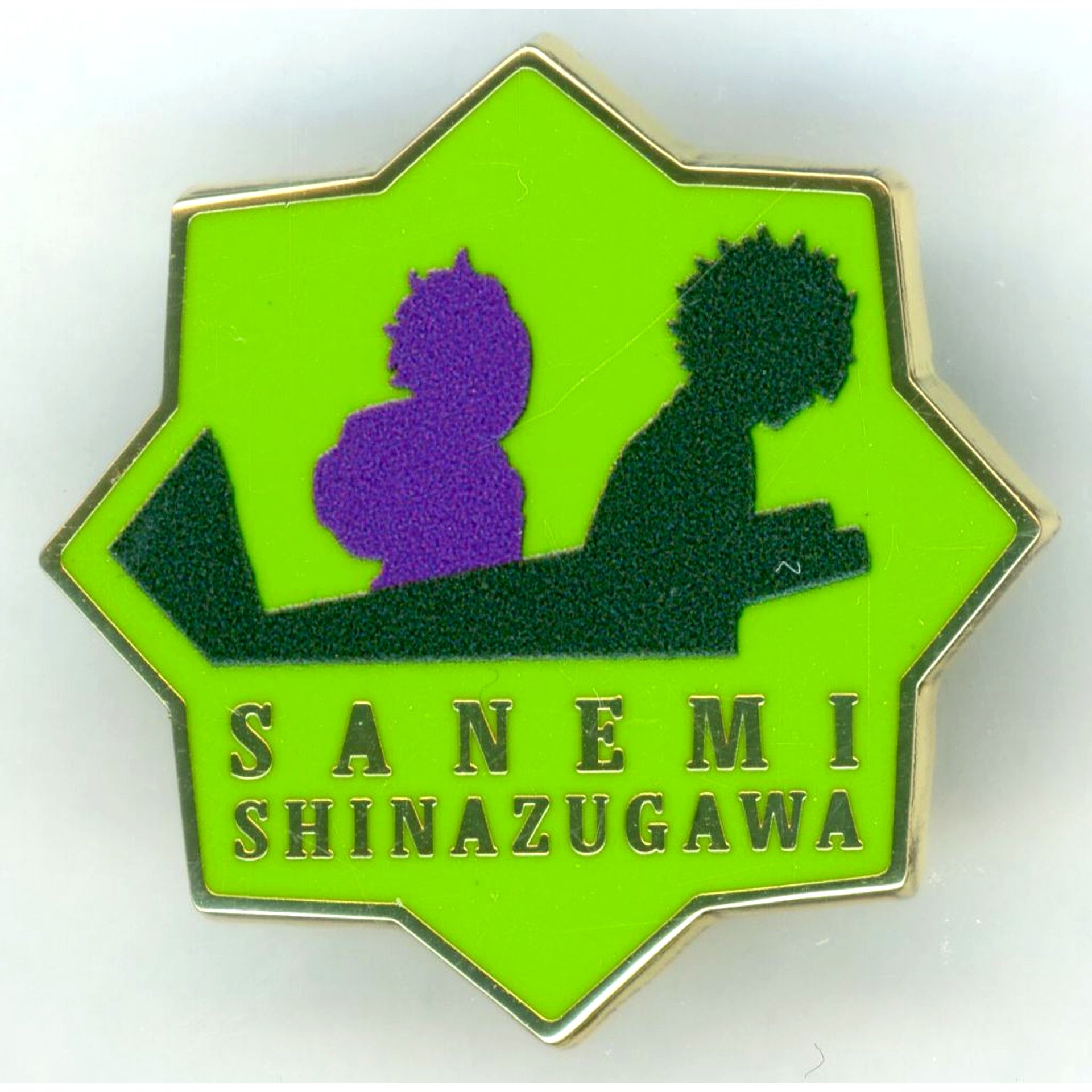 Sanemi Shinazugawa Design 65 Demon Slayer Anime Hashira Exhibition To the Infinity Castle Hashira 100 Views Collection Pins 15 [USED]