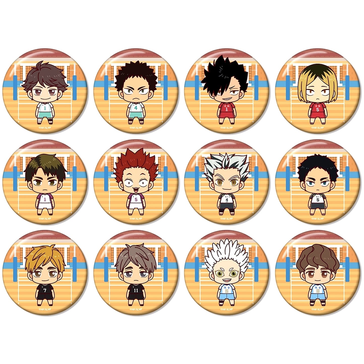 Set of 12 Haikyu!! Trading Chokonto! Button ver.B [USED]