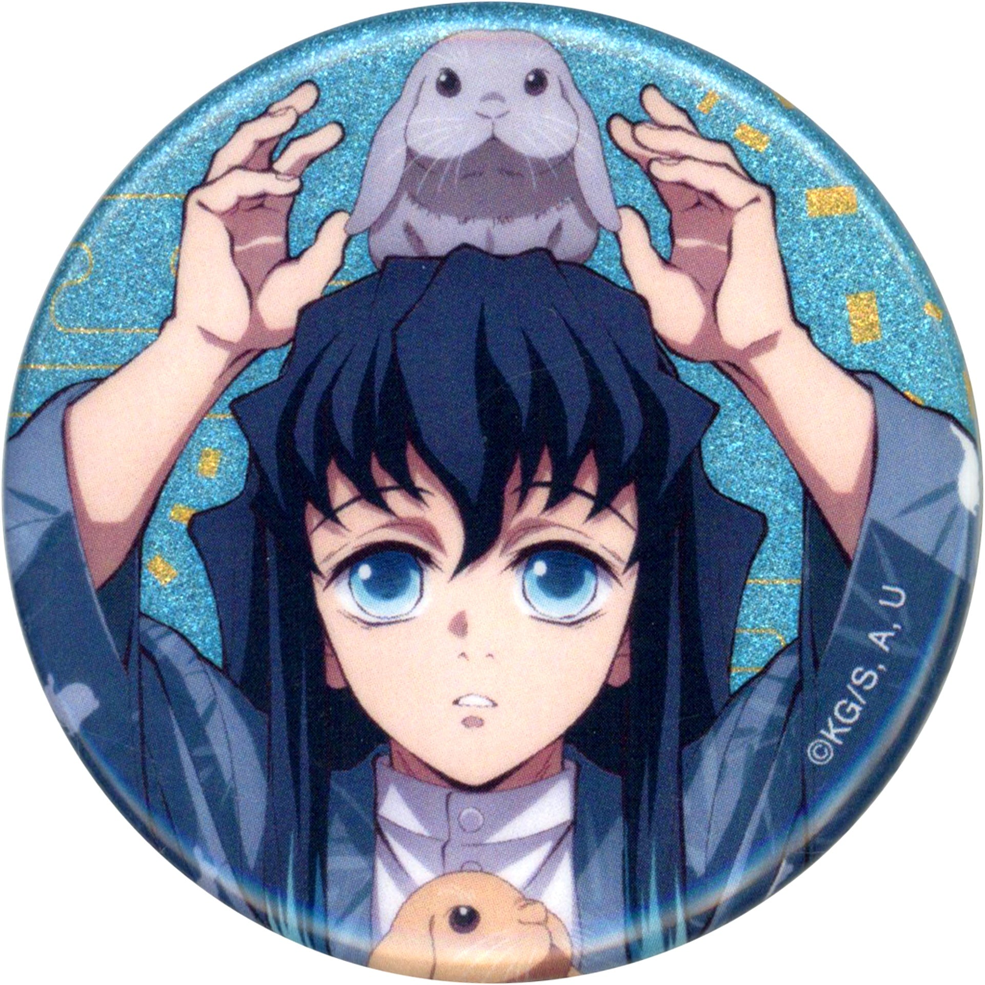 Muichiro Tokito Face Demon Slayer in Tobu Zoo Illustration Animal Training Ver. Trading Glitter Button [USED]