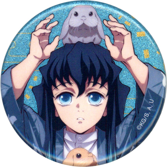 Muichiro Tokito Face Demon Slayer in Tobu Zoo Illustration Animal Training Ver. Trading Glitter Button [USED]