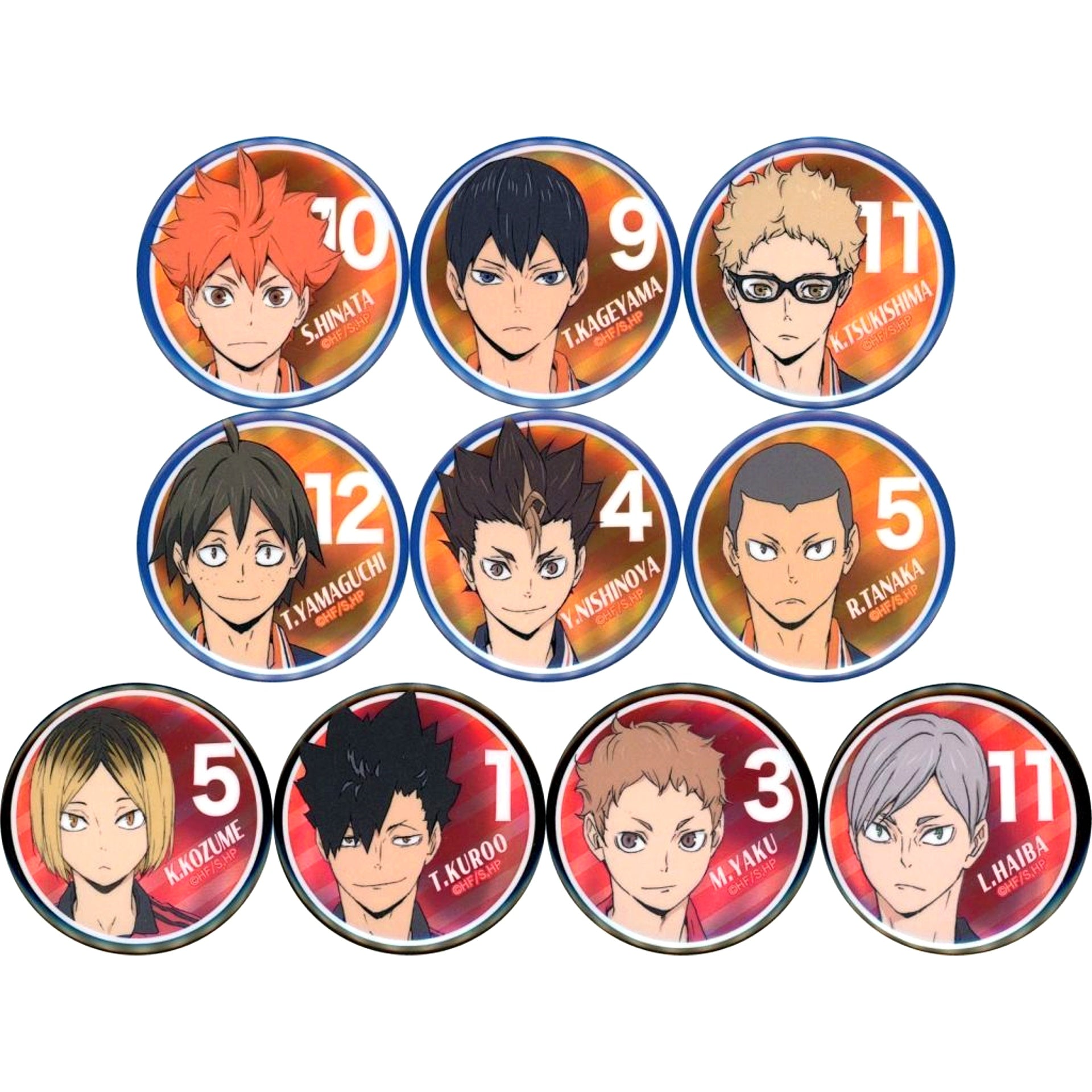 Set of 10 Haikyu!! Trading Metallic Button [USED]