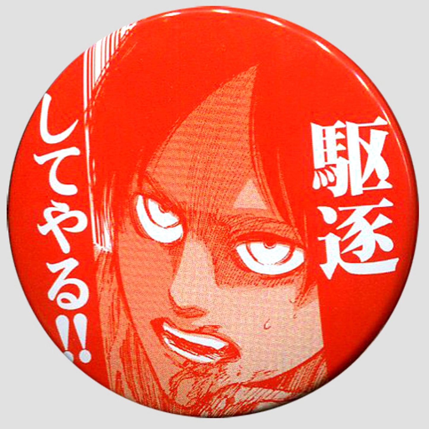 Eren Yeager Badge Ani-Cap Attack on Titan [USED]
