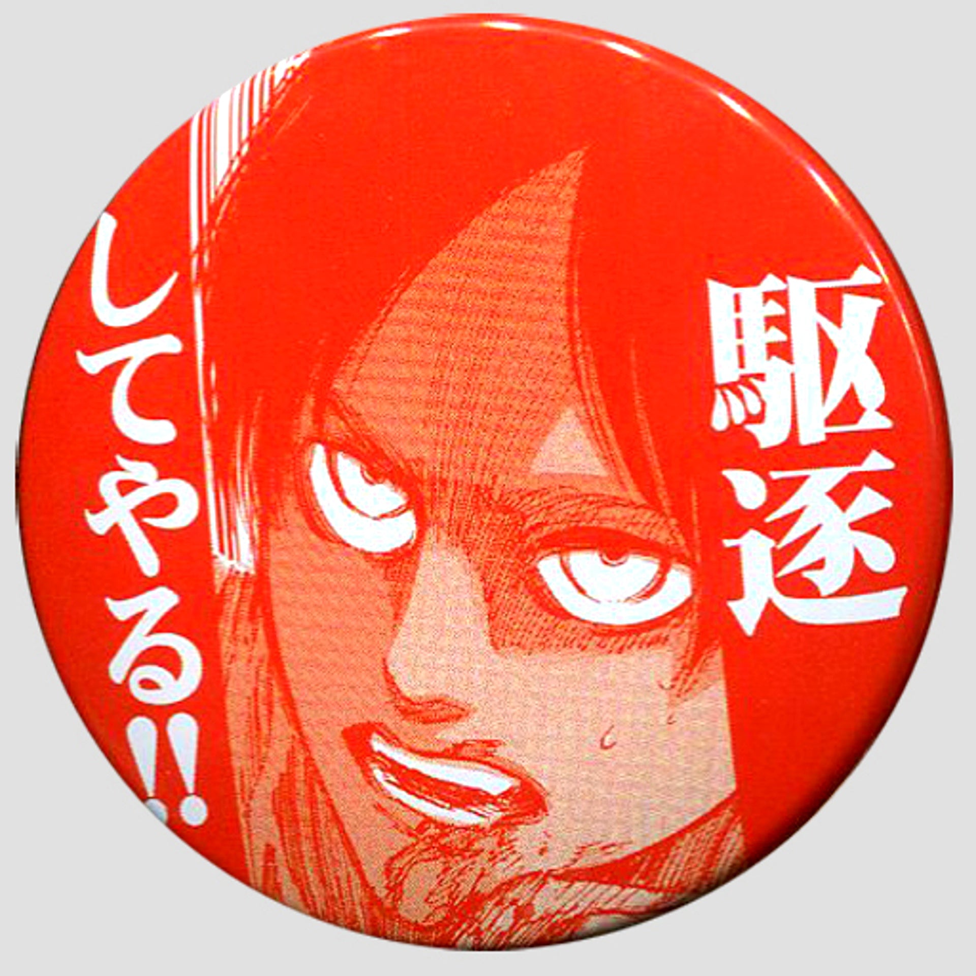 Eren Yeager Badge Ani-Cap Attack on Titan [USED]