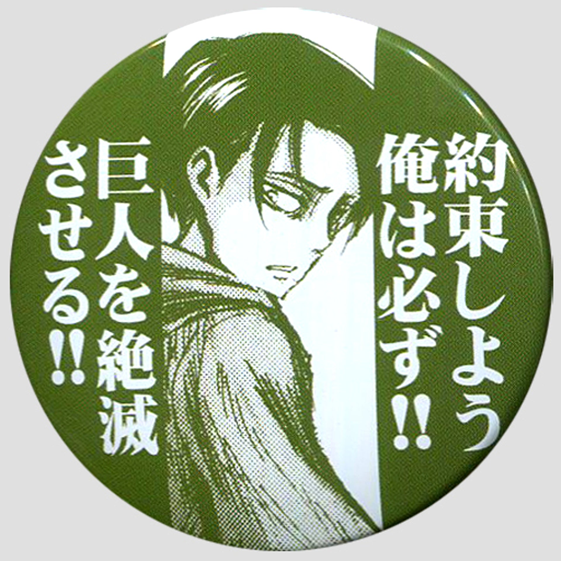 Levi Badge Ani-Cap Attack on Titan [USED]