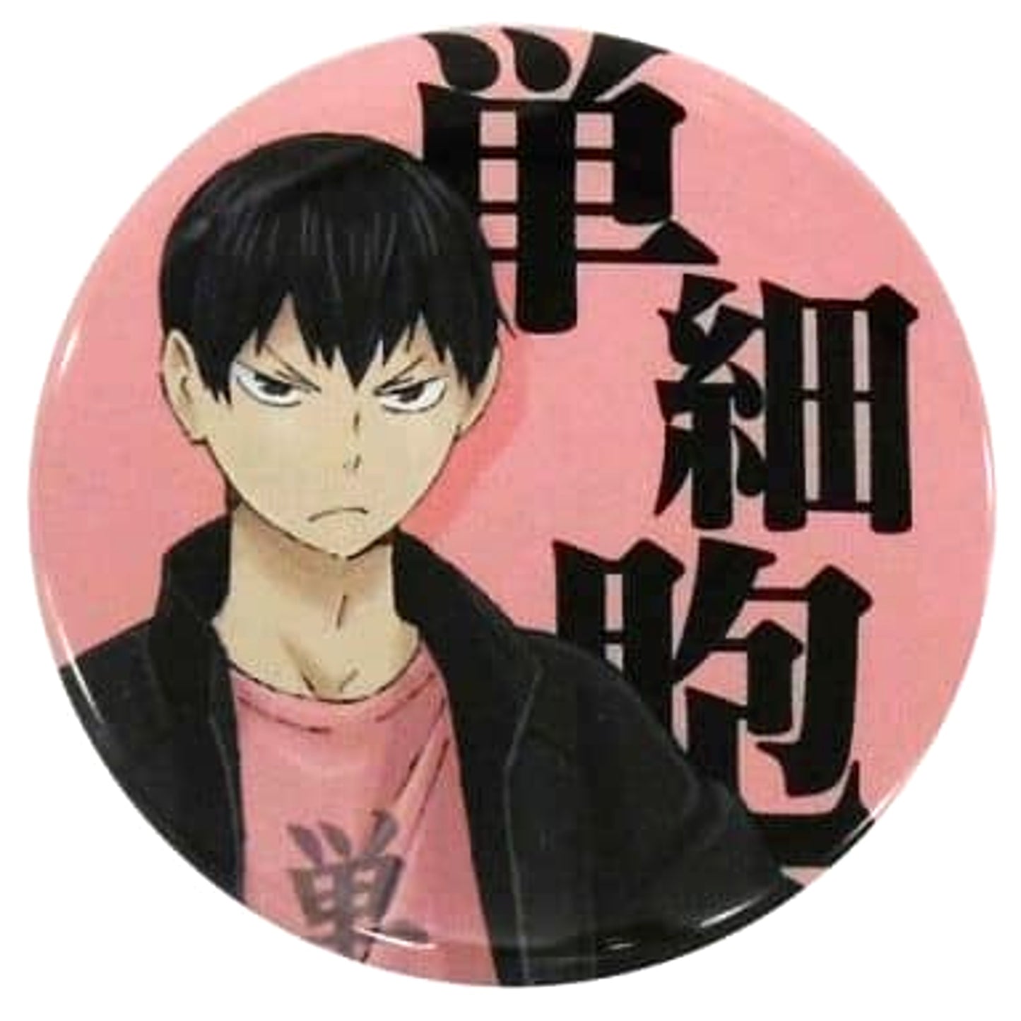 Haikyu!! Tobio Kageyama Simple-Minded Four-Letter Idiom Badge Collection Buttons [USED]