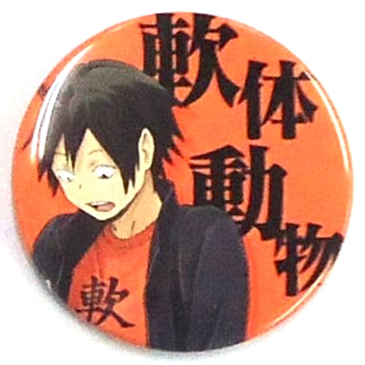 Haikyu!! Tadashi Yamaguchi Mollusk Four-Letter Idiom Badge Collection Buttons [USED]