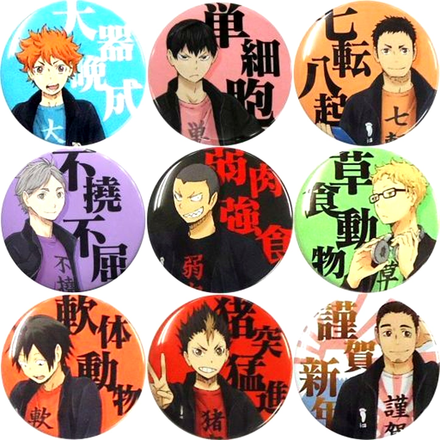 Set of 9 Haikyu!! Four Character Idiom Button Collection [USED]