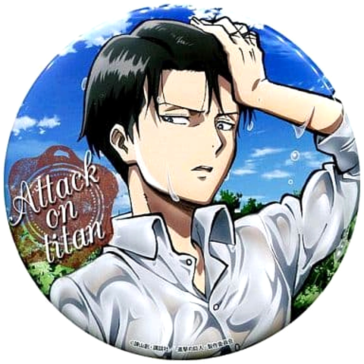 Attack on Titan Levi Ackerman B Gallery Stand Buttons [USED]
