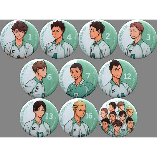 Set of 10 Haikyu Second Season Silky Button Collection [USED]