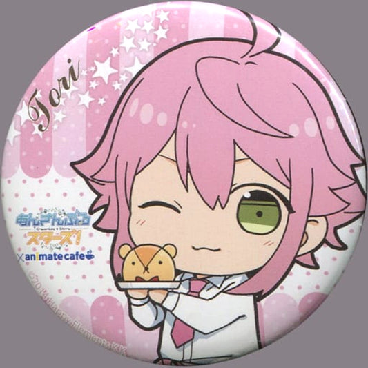 Ensemble Stars! X animatecafe Touri Himemiya Trading Can Badge Cafe Style Part 2 Buttons [USED]