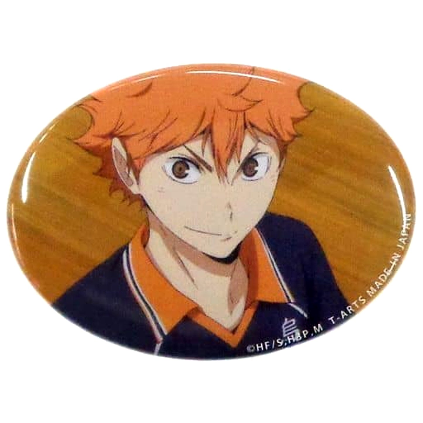 Haikyu!! Shoyo Hinata Famous Scene Oval Can Badge III Buttons [USED]