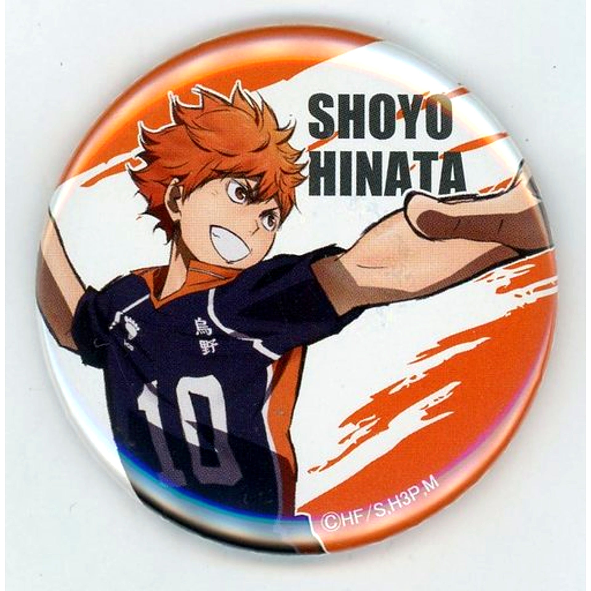 Shoyo Hinata Haikyu Karasuno High School VS Shiratorizawa Academy Button Collection [USED]