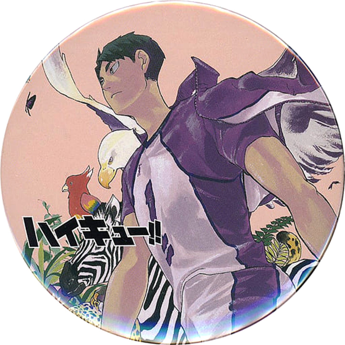 Haikyu!! Wakatoshi Ushijima Collection Can Badge Part 4 Buttons [USED]