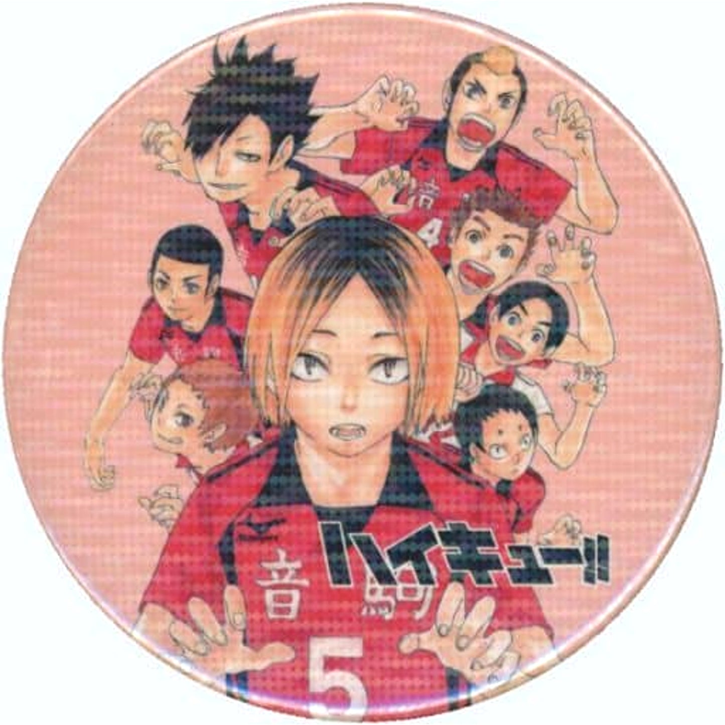 Nekoma High School Haikyu!! Collection Button Part 4 [USED]