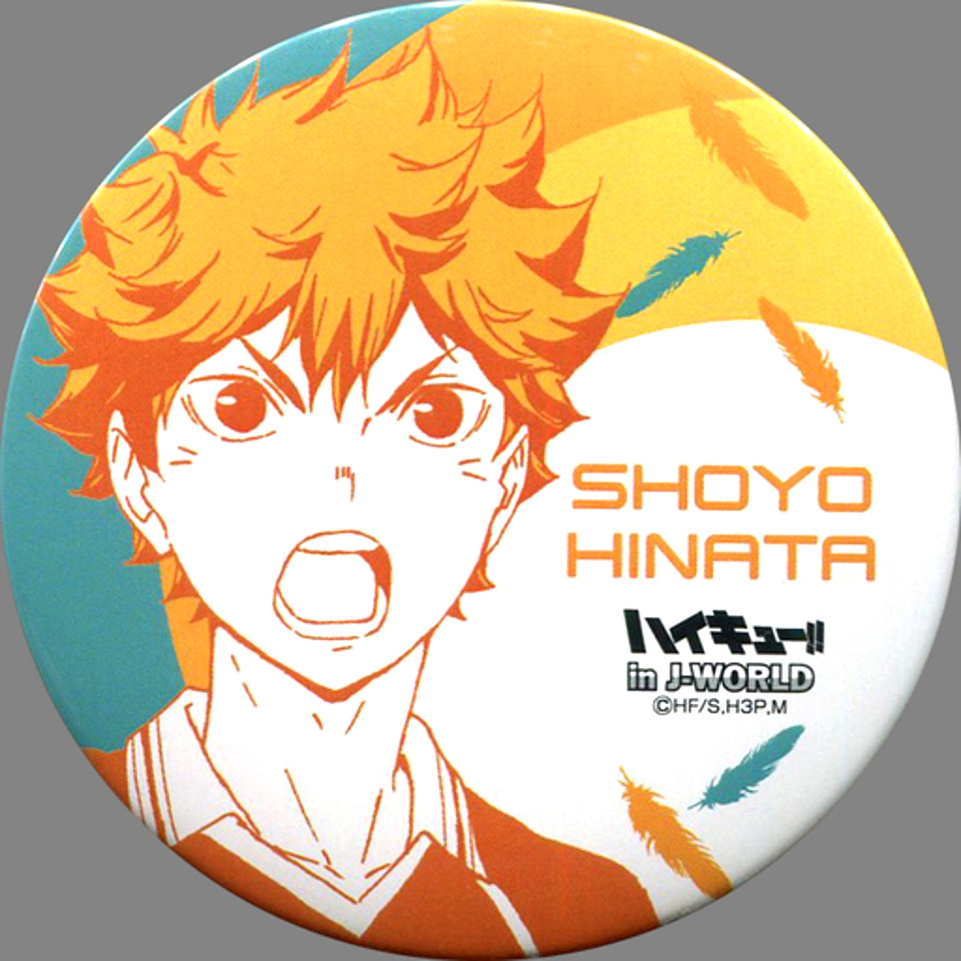 Shoyo Hinata Haikyu!! 75mm Button Miyagi Fes in J-WORLD TOKYO [USED]