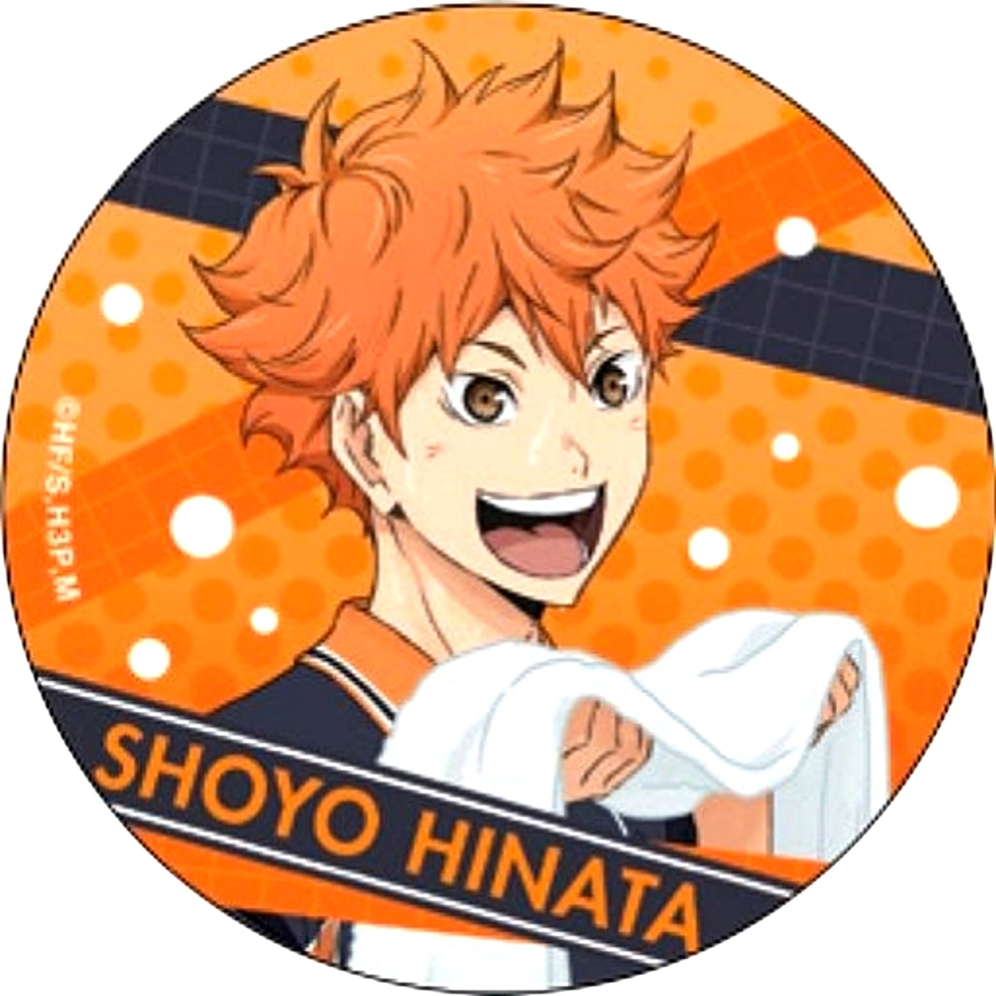 Shoyo Hinata Haikyu!! Karasuno High School VS Shiratorizawa Academy 3D Button [USED]