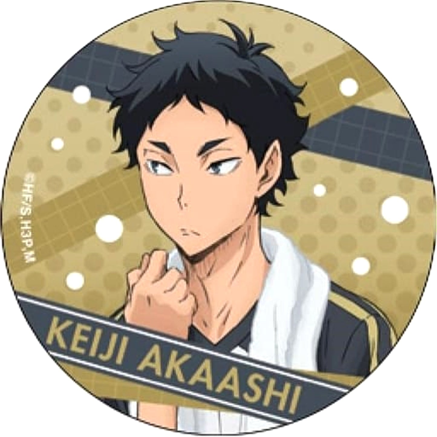Keiji Akaashi Haikyu!! Season 3 3D Button [USED]
