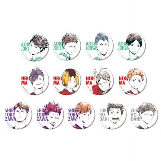 Set of 13 Haikyu!! Trading Ani-Art Button Ver.B [USED]