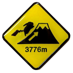 Pokemon Elevation Pokemon Gotouchi Pins Collection Mt.Fuji Limited Pins [USED]