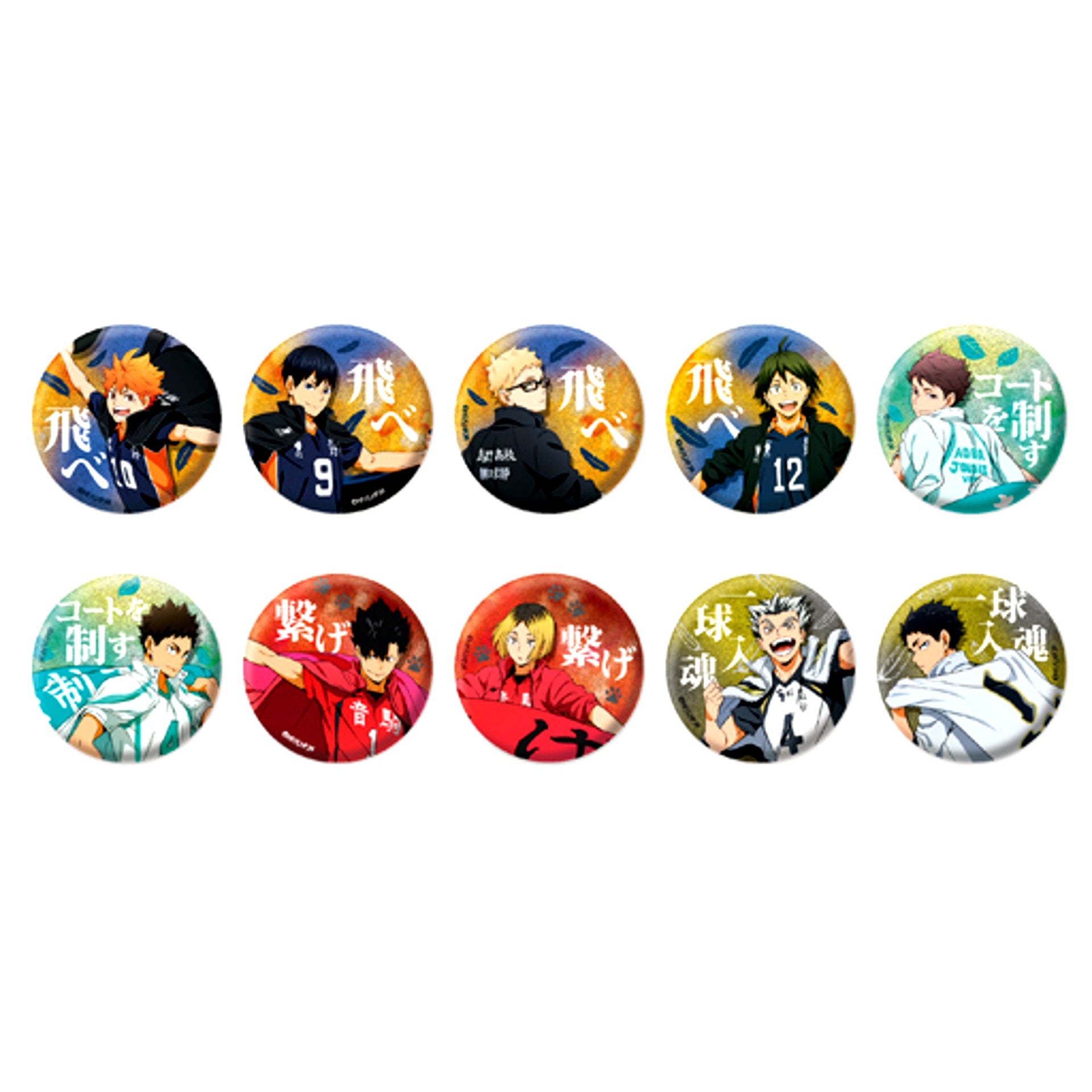Set of 10 Haikyu!! TO THE TOP Glitter Button Collection [USED]