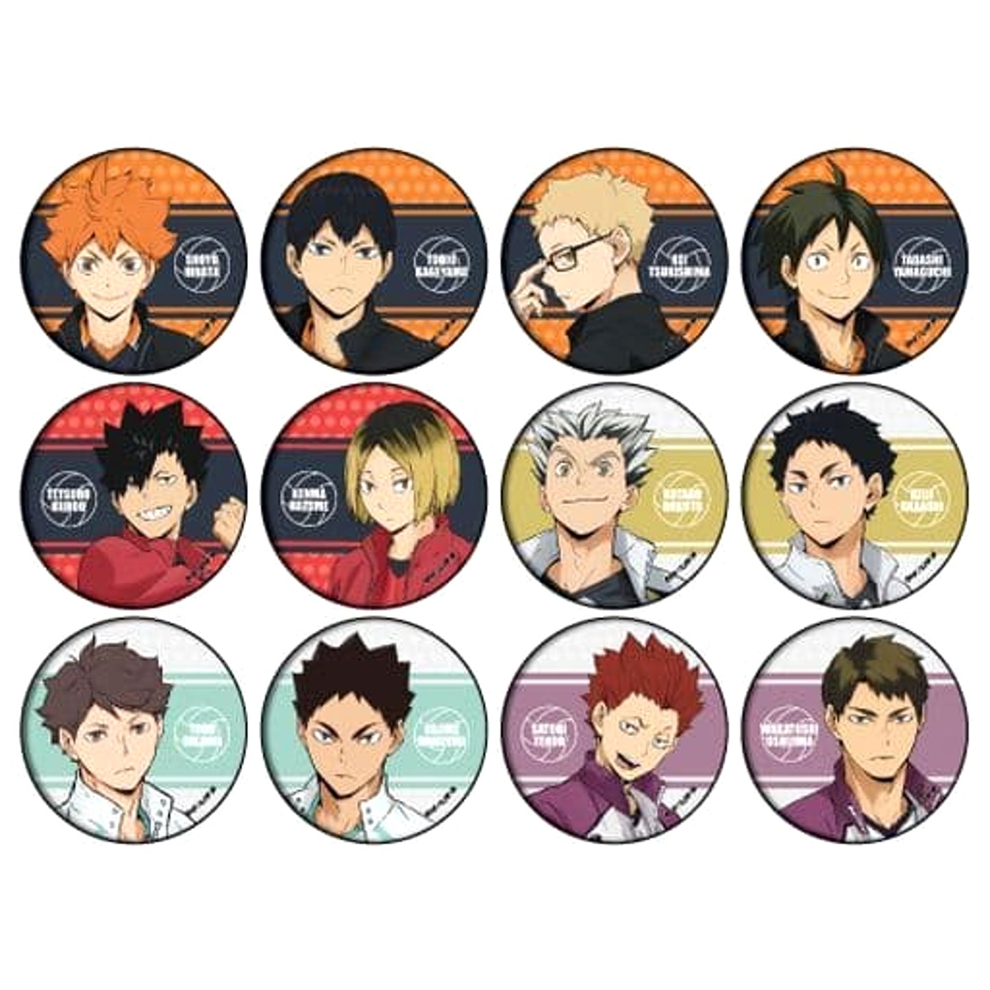 Shoyo Hinata & Others Haikyu!! All 12 Types Set Button 2 [USED]