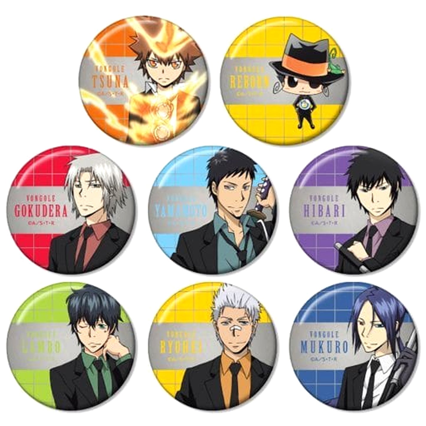 Reborn! Tsunayoshi Sawada & Others Trading Metallic Can Badge All 8 Types Set Buttons [USED]