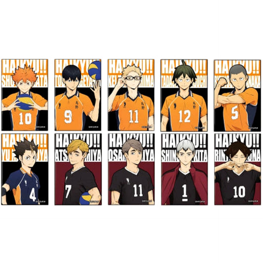 Shoyo Hinata & Others Haikyu!! To The Top All 10 Types Set Square Button [USED]