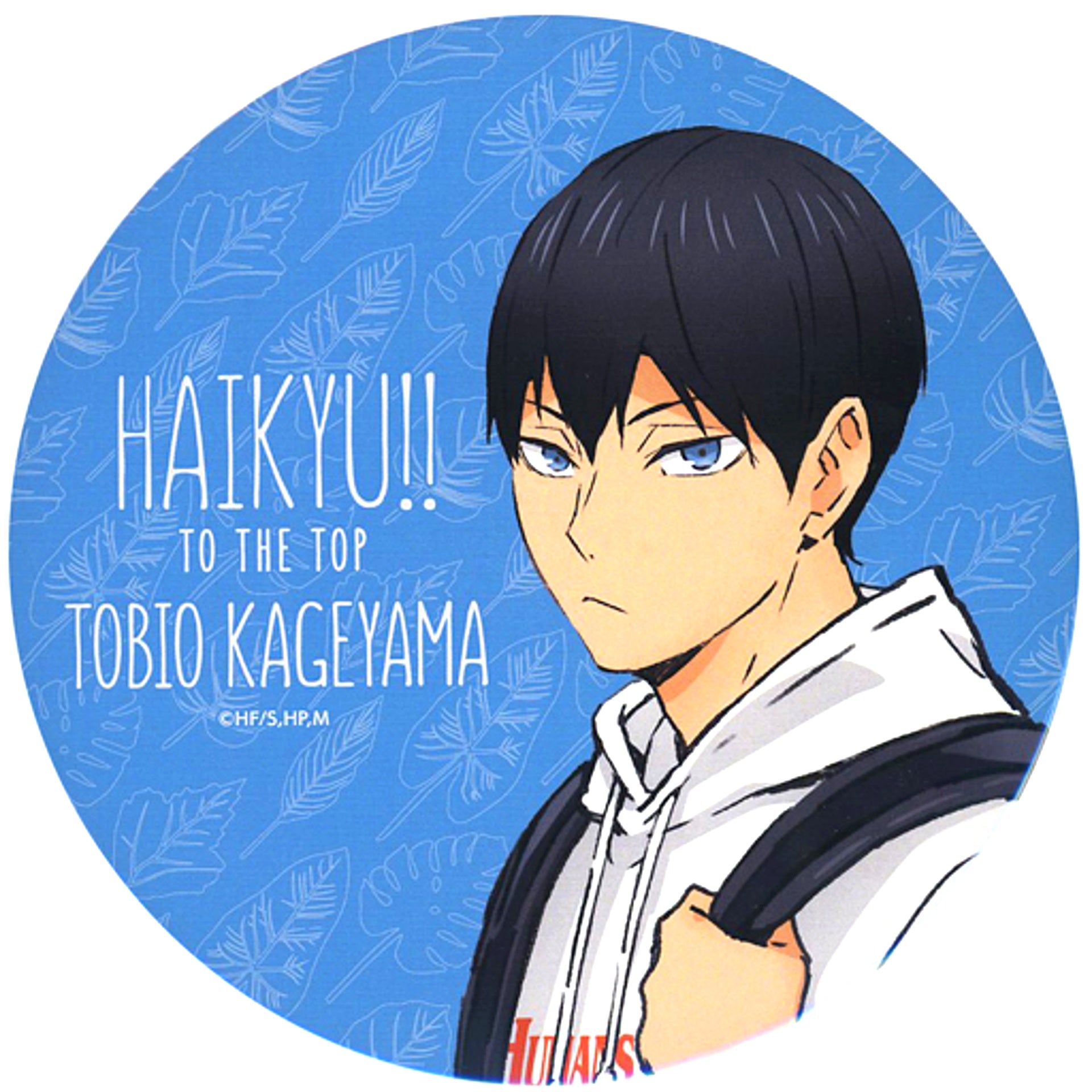 Tobio Kageyama Haikyu!! TO THE TOP Leisure Ver. BIG Button Illustration Tobu Zoo [USED]