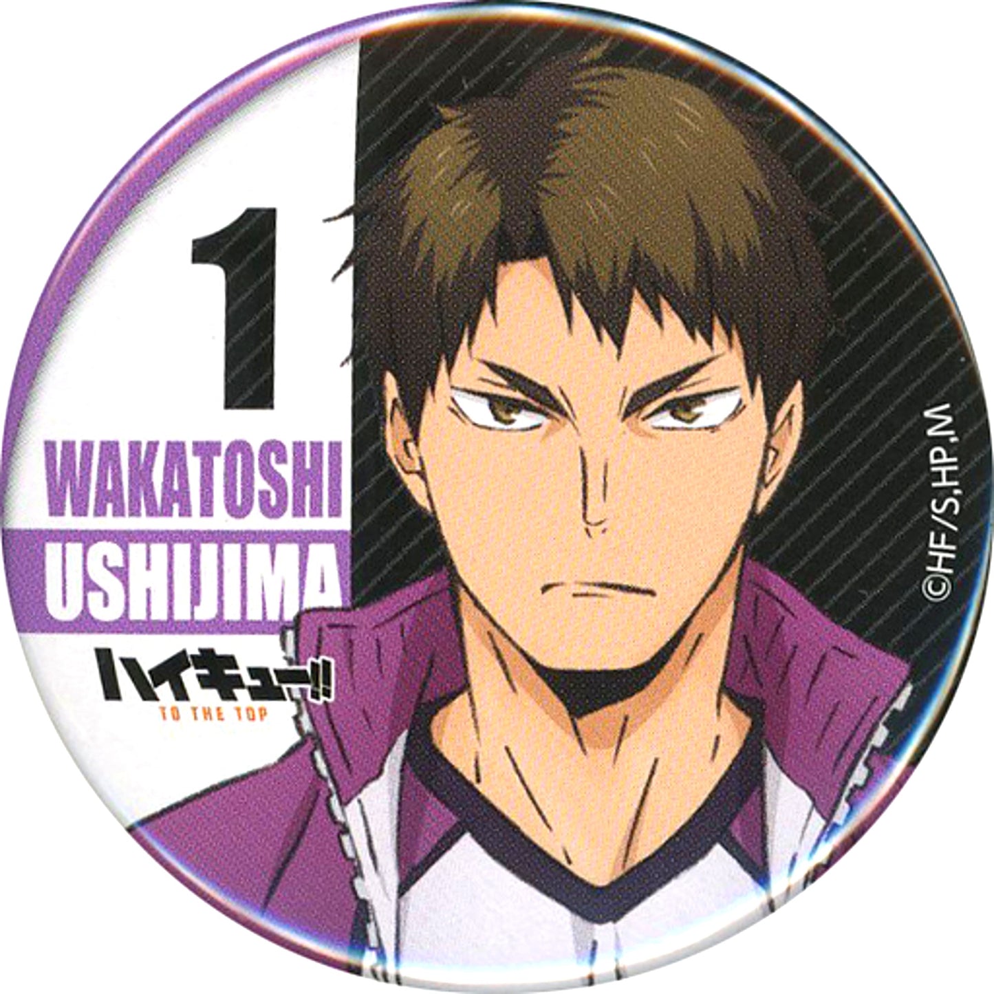 Wakatoshi Ushijima Haikyu!! Button Collection TO THE TOP Hyakki Yagyo in Namjatown [USED]