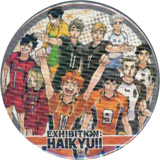 Haikyu!! Shoyo Hinata & Others Collection Can Badge Part 8 Buttons [USED]