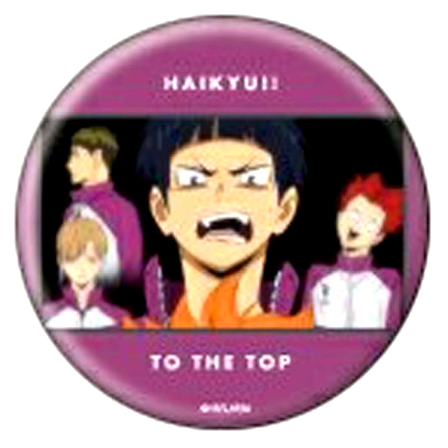 Shiratorizawa Academy Haikyu!! TO THE TOP Button 04 [USED]