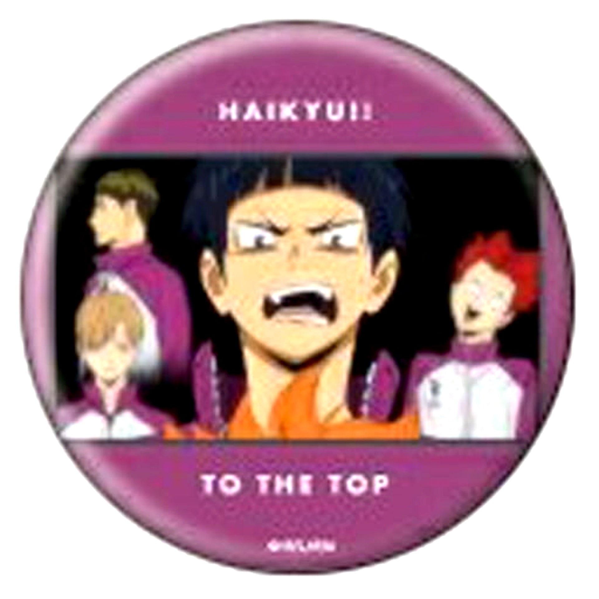 Shiratorizawa Academy Haikyu!! TO THE TOP Button 04 [USED]