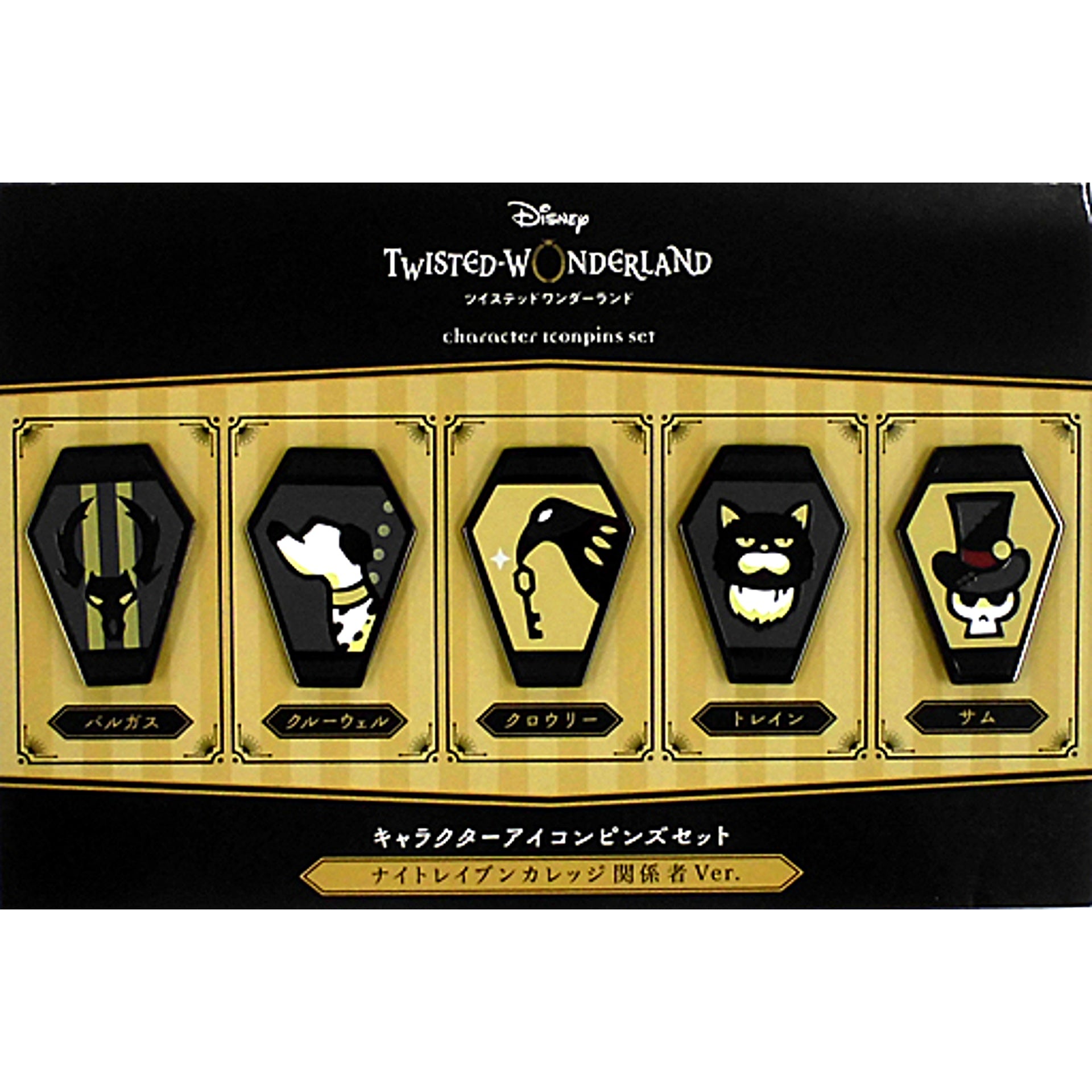 Set of 5 Night Raven College Staff Ver. Disney Twisted-Wonderland Character Icon Pins 1st Anniversary POPUP SHOP Cheers! [USED]