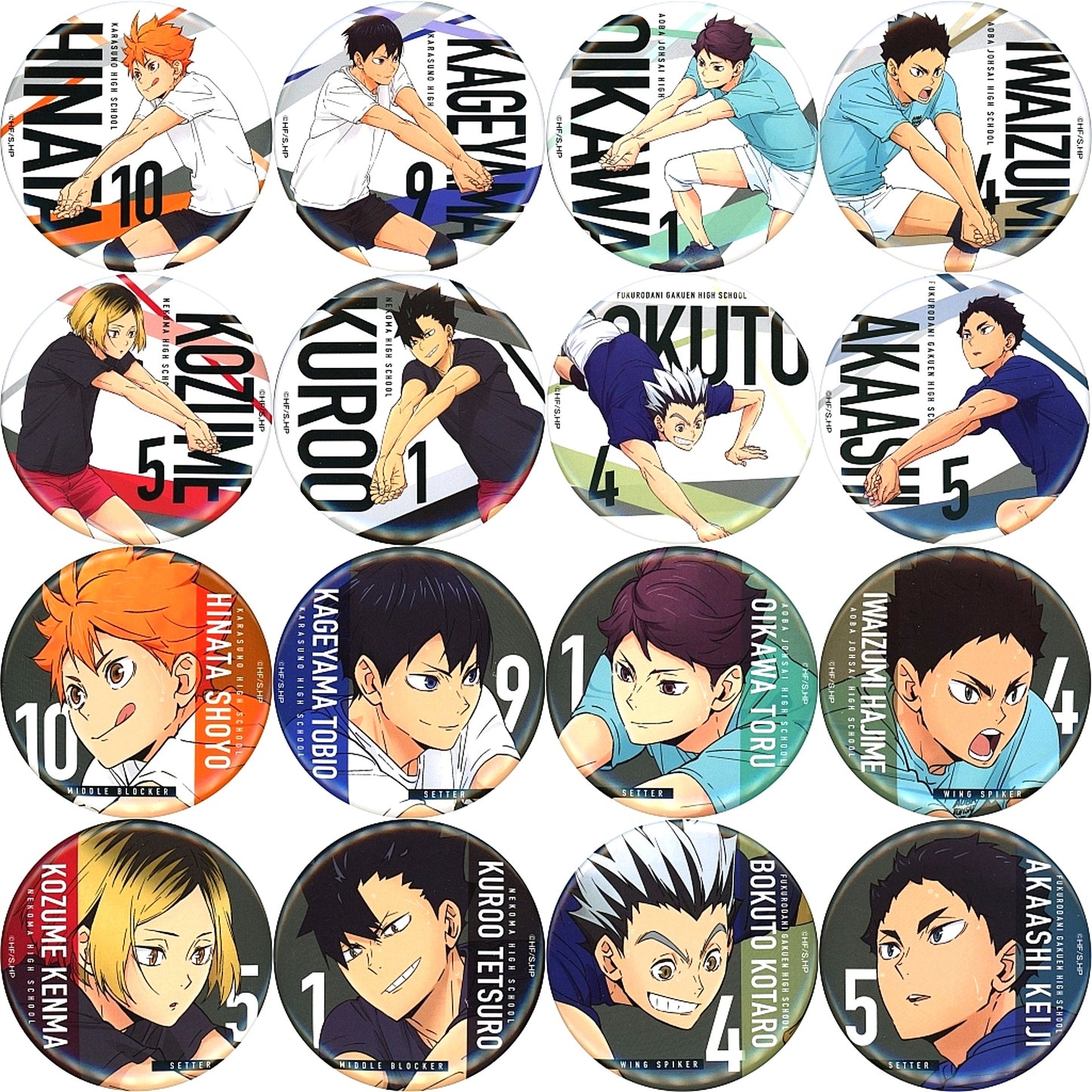 Set of 16 Haikyu!! Slightly Large Button Prize M Kuji Luck Receive [USED]