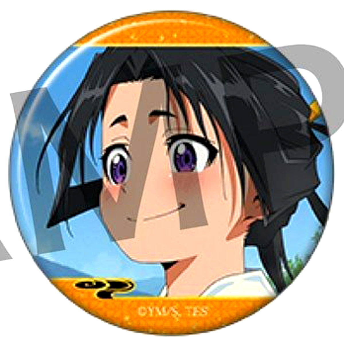 Tokiyuki Hojo B The Elusive Samurai Chara Badge Collection [USED]
