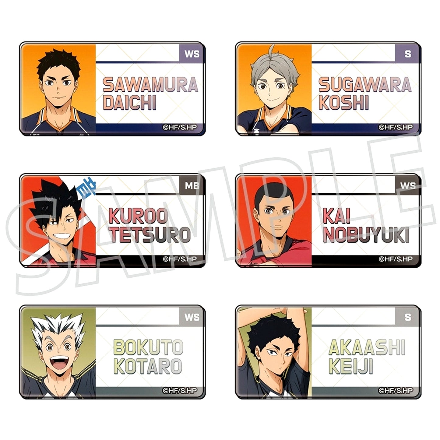 Set of 6 Haikyu!! Name Button Collection [USED]