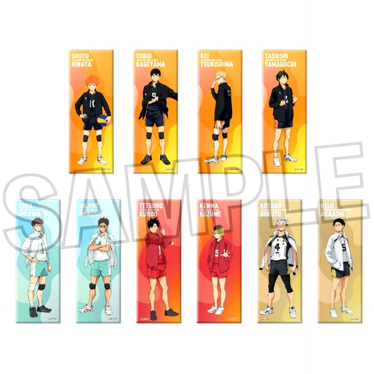 Set of 10 Haikyu!! Trading Long Button Uniform [USED]