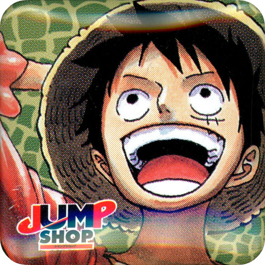 Monkey D. Luffy One Piece Button Kuji Button Only from JUMP SHOP Original Button Lottery 2013 Prize [USED]