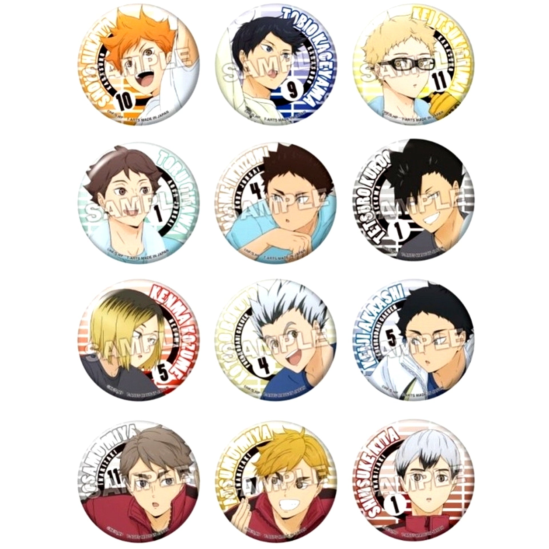 Set of 12 Haikyu!! Color Palette Training Menu Button [USED]