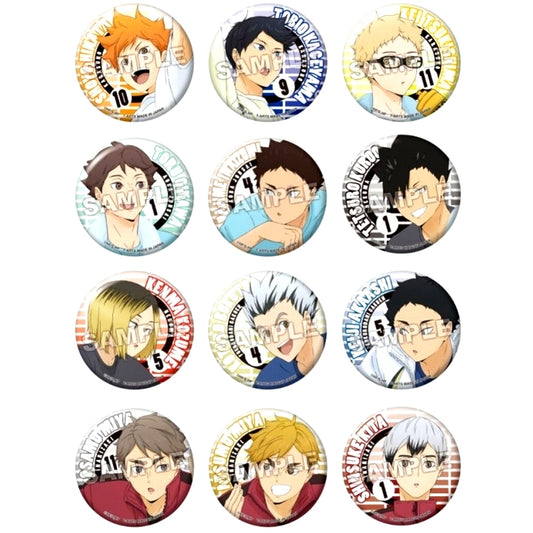 Set of 12 Haikyu!! Color Palette Training Menu Button [USED]