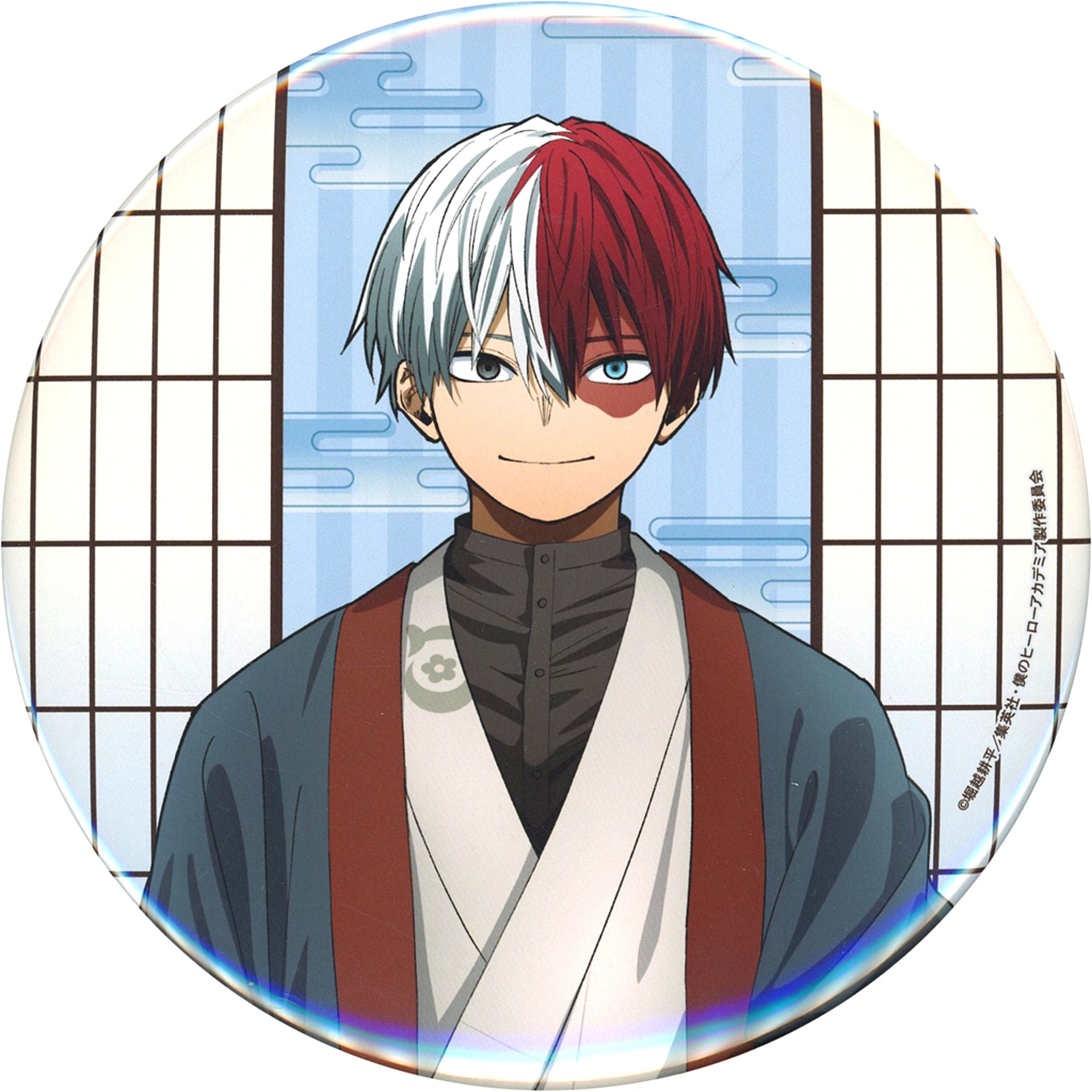 Shoto Todoroki My Hero Academia in Asakusa Hanayashiki Drawn Big Button [USED]