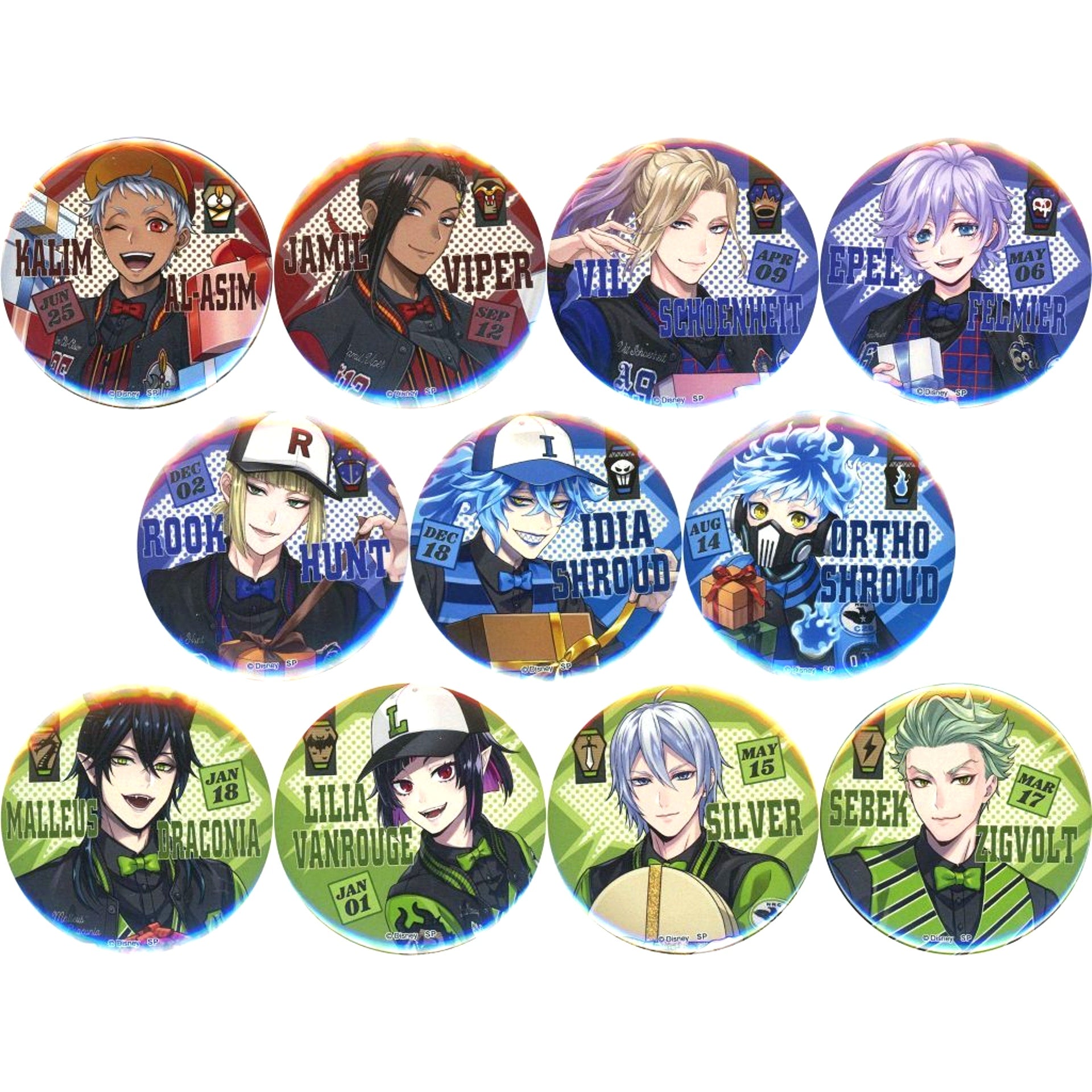 Set of 11 Disney Twisted-Wonderland Union Birthday Button Vol.2 5th Anniversary animate ONLY SHOP [USED]