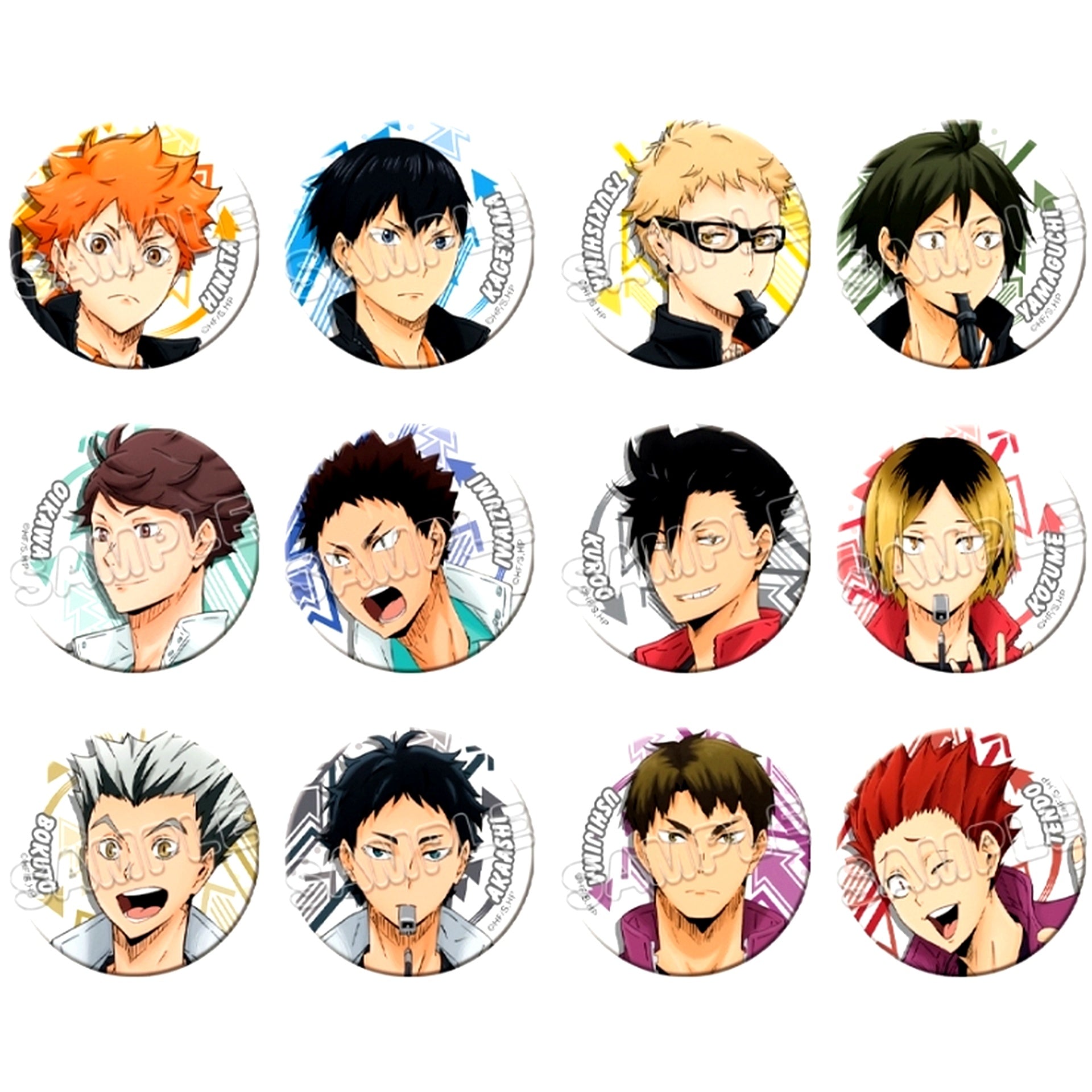 Set of 12 Haikyu!! Button Collection [USED]