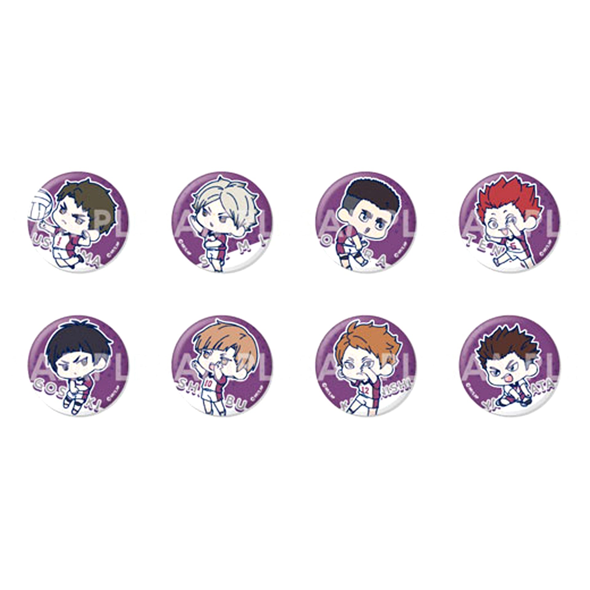 Set of 8 Haikyu!! Wachatto! Trading Button Shiratorizawa Academy [USED]