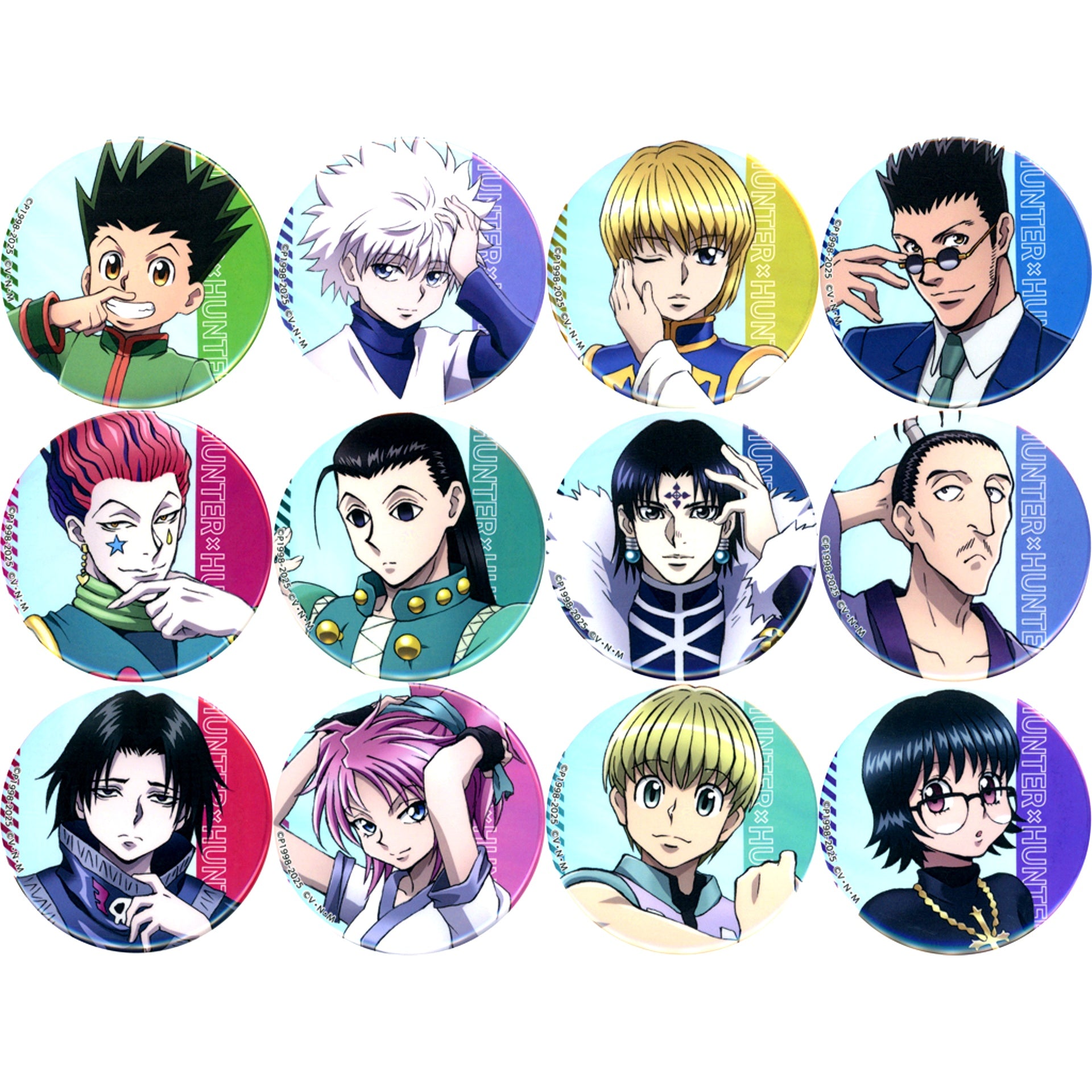 Set of 12 Hunter x Hunter POP UP SHOP vision of Hunter Illustration Button Collection [USED]