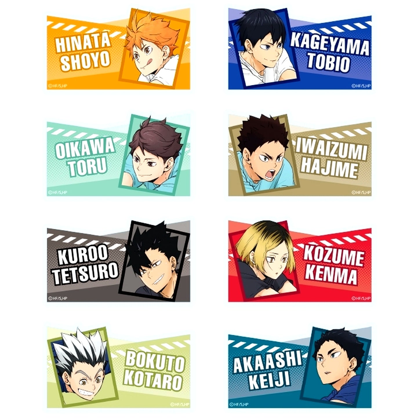 Set of 8 Haikyu!! Trading Name Button Receive [USED]